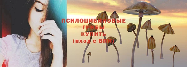 гидропоника Абаза